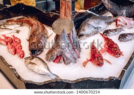 Fresh seafood on crushed ice at fish market.  Fresh fish head with open jaws. Many varieties of fresh fish and seafood - the best choice for healthy eating. Close-up on the counter.