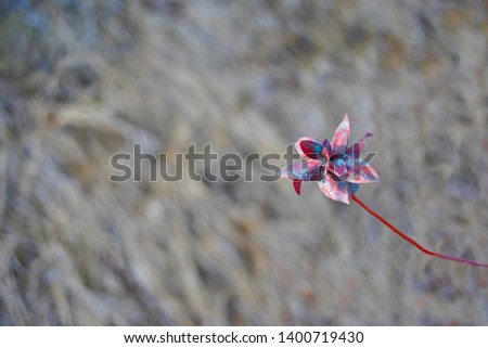 Red twig of a blossoming pink-blue flower, blurry gray grass background
