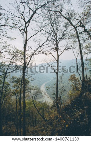 View from above of Teesta Valley Forest, Darjeeling, West Bengal, India