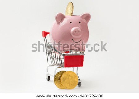 Pig piggy bank on grocery cart with Bitcoin wheels. The concept of technological breakthrough, online shopping.