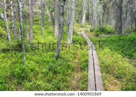 Narrow wooden forest plank path at Tyresta nationalpark, Sweden Royalty-Free Stock Photo #1400901869