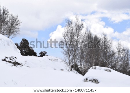 beauty of nature and mountains covered with snow in hills of shimla