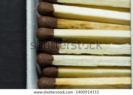 Close-up of a row of Matchsticks with brown tips
