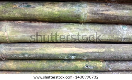 old bamboo texture wall beckground - image