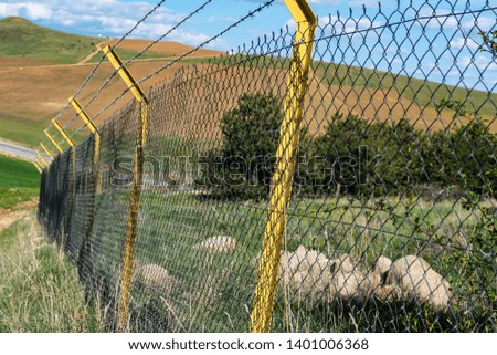 barbed wires and large fence, created to block immigrants, barbed wires and blue sky