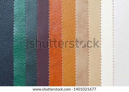 Samples of natural, textured, multi-colored leather. Top view