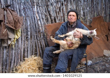 A very old man in messy clothes is sitting on a stool in the yard of an old farm and holding a white goat on his hands, life on an old farm