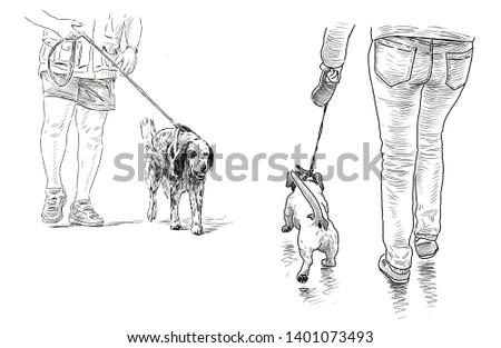 Sketches of the dogs with their owners going for a stroll