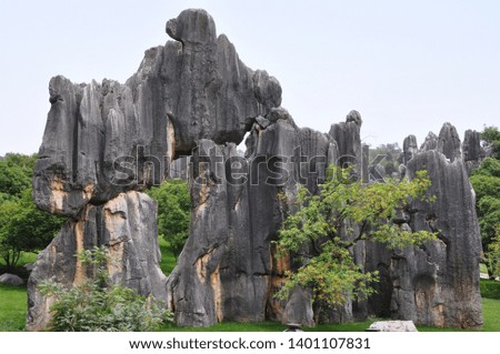 The Stone Forest Park Shilin. Kunming, Yunnan, China.