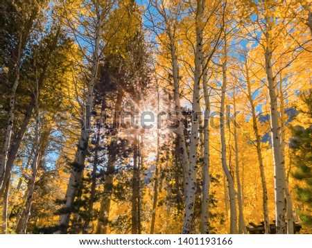 Aspen tree grove near June Lake in the Eastern Sierra mountains dressed in fall foliage. Beautiful autumn forest on a sunny day with sunburst glade through branches in the middle.
