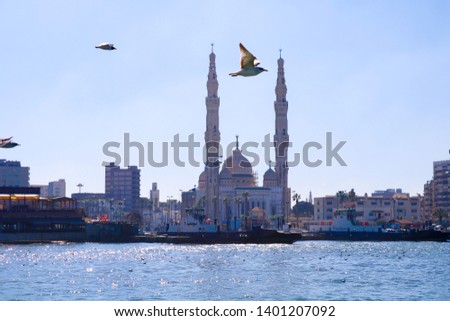 Pictures of the sea in Port Said in Egypt The beauty of nature, the sea and the blue sky Royalty-Free Stock Photo #1401207092