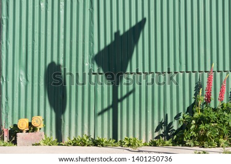 Shadow of a speed sign and yield sign over a green wall at Ushuaia, Tierra del Fuego, Argentina