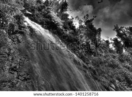 Puerto Rico, USA - 5/2019: El Yunque National Forest - La Coca Waterfall