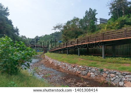 Streams and wooden Bridges in the park