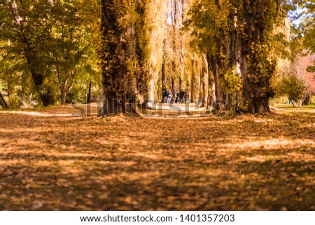 Beautiful nature picture of this Autumn Fall