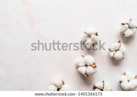 Cotton flowers on white marble background flat lay top view with copy space