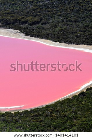 The amazing pink color of Lake Hillier (Pink Lake), wonderful landmark of Australia located on Middle Island, near Esperance, Western Australia.  Royalty-Free Stock Photo #1401414101