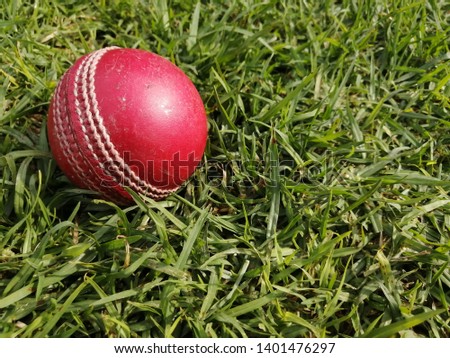 Red crieket ball on green grass