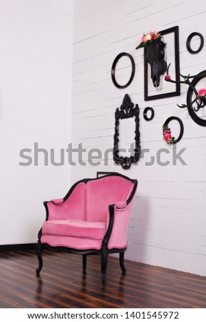 Vintage velor armchair, in a bright room. Various empty picture frames with a skull and antlers hanging on a wooden wall. The concept of wall decoration. Decor, vintage, modern, loft. Gothic style 