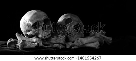 Two Skull on pile of bones put on black cloth and black background / Still Life Image and space for texts, adjusment size and color for banner, cover, header

