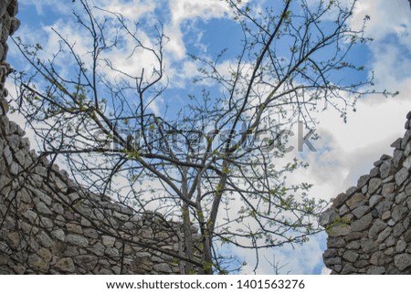 Castle wall and blue sky