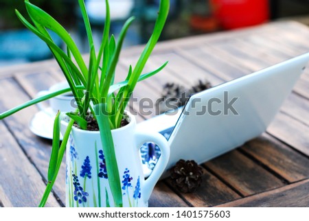A white ceramic plant pot with green plant on a wooden table with notebook and a cup of coffee.