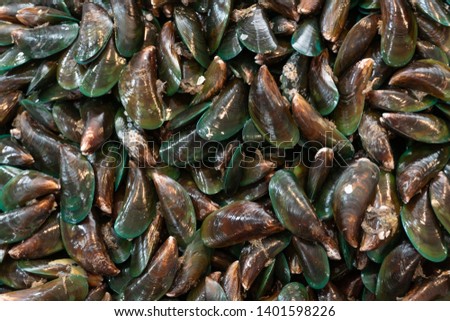 Green Mussels  on local market