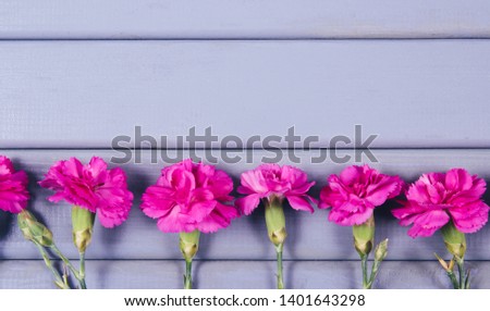 Background with live carnation flowers. A place for an inscription.
