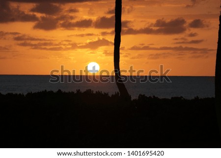 Close up picture of sun downing down on the horizon in hawaaii