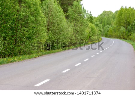 turning asphalt road in dense forest