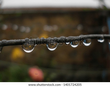 Drops of life, The rainy day
