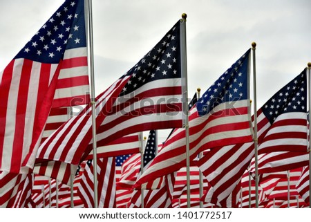 A large group of US Flags waving in honor for Memorial Day with multiple flags filling the background. 
