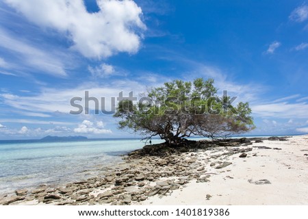 White sand beach , turquoise water , blue sky and green lush trees on the foreground in Semporna, Sabah
