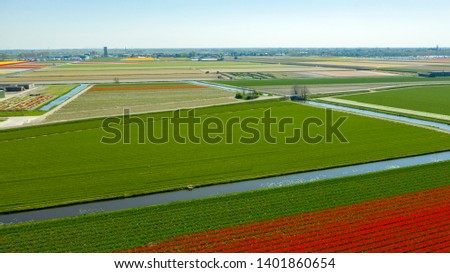 Aerial view of tulip fields in springtime, Holland, the Netherlands