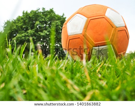 An Orange Football in a Meadow