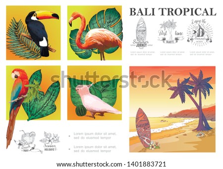 Sketch Bali exotic composition with macaw cockatoo flamingo toucan tropical plants sand beach landscape and summer vacation emblems vector illustration