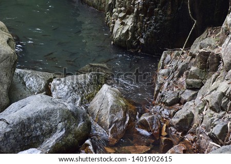 Mahseer Barb Fish And Rocks At Namtok Phlio National Park, Chanthaburi , Thailand