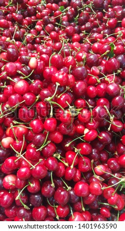 summer fruit red colored cherries