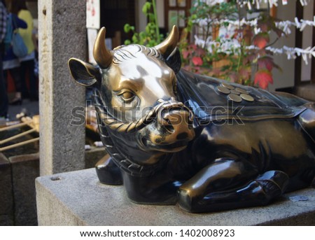 Picture of a battered cow
