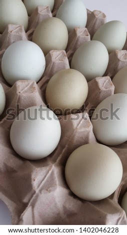 araucana and chicken eggs in various colors
