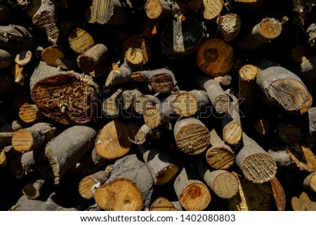 pile of logs, beautiful photo picture