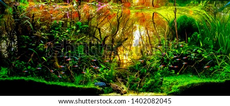 close up image of underwater landscape nature forest style aquarium tank with a variety of aquatic plants inside.