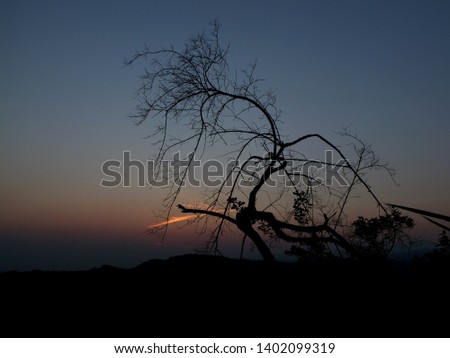 picture of dry twigs with a background of sunrise and orange clouds