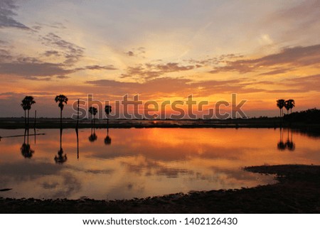 
The beauty of the golden yellow sky and the river in the morning, the silhouette of the palm tree