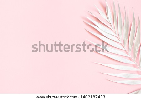 Summer composition. White tropical palm leaf on pink background. Summer concept. Flat lay, top view, copy space