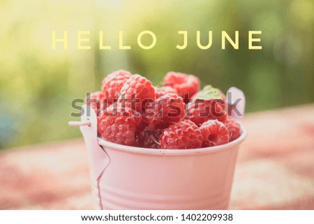 Raspberry bucket Red berries. Banner hello june. Text on the photo. Photos of berries.
