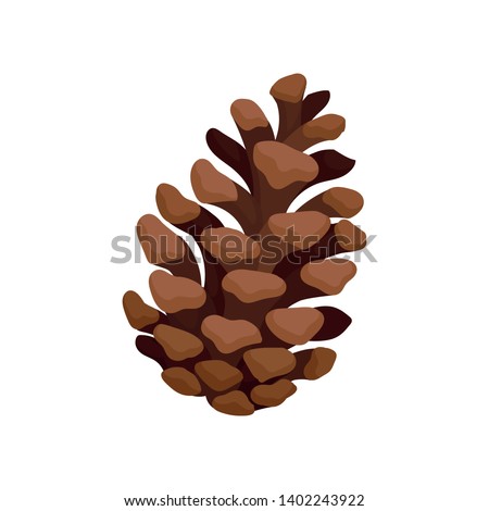 Open fir cone. Vector illustration on white background. Royalty-Free Stock Photo #1402243922