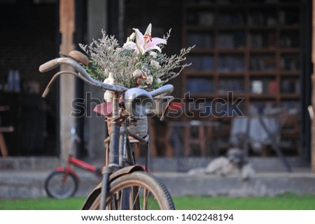 Vintage bicycle with flowers, copy space