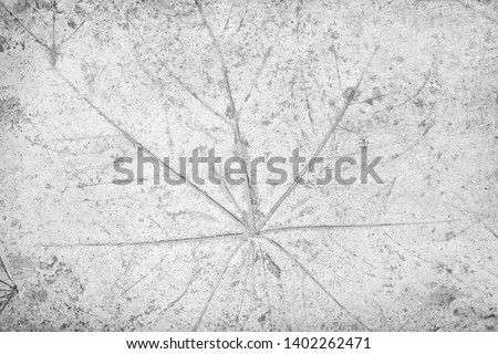 Texture leaves printed patterns on  concrete floor background
