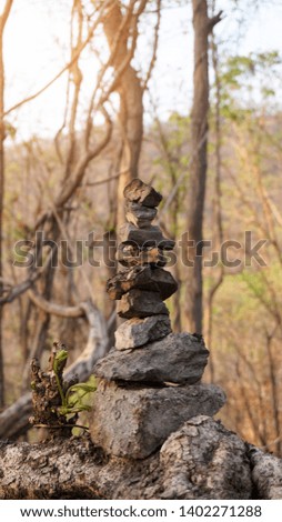 The stones are arranged vertically in the middle of the forest.Creating a balance in life.                             
